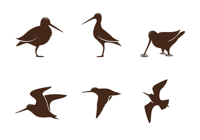 Snipe silhouet vector