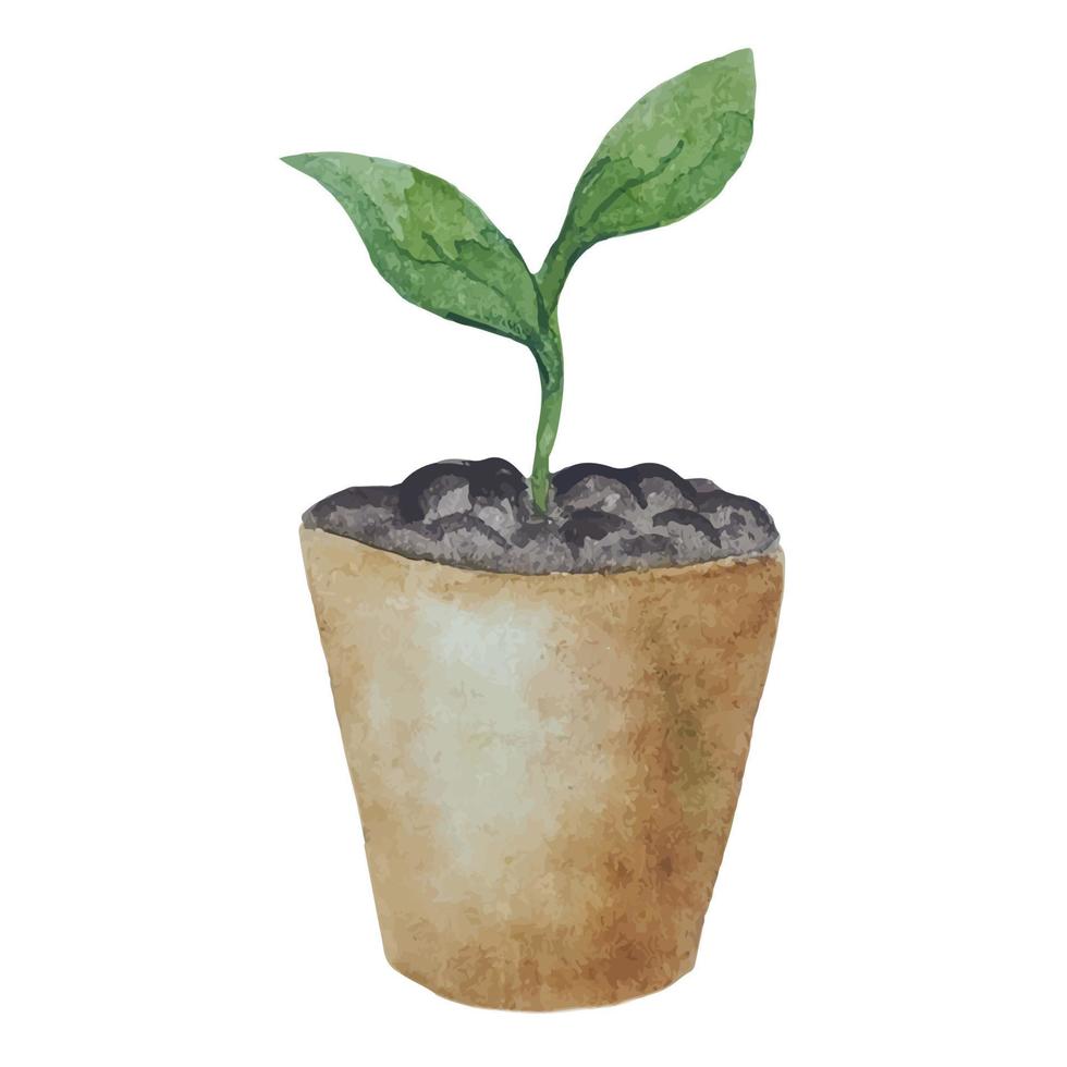 een jong spruit in een pot, kieming van planten, een zaailing in een pot, waterverf illustratie van een ingemaakt fabriek vector