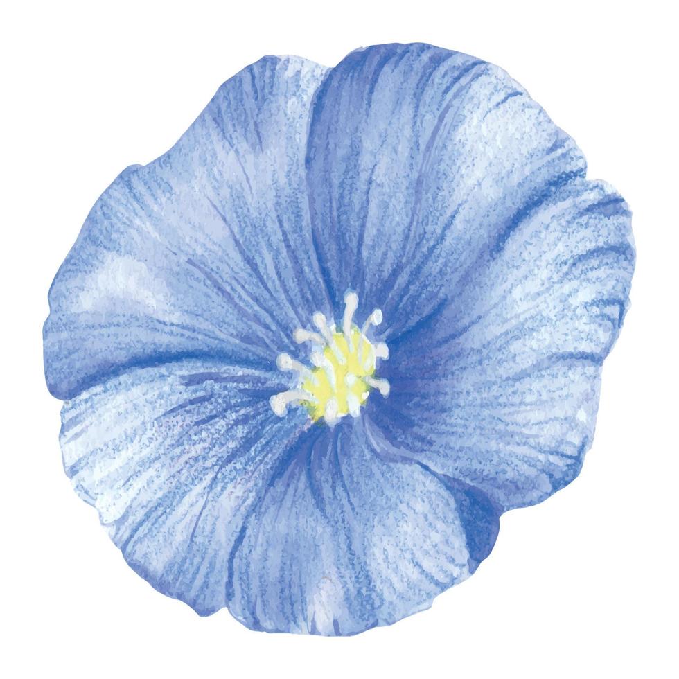 blauw paars vlas bloem. een blauw bloem geschilderd in waterverf. wild voorjaar waterverf bloem. een geïsoleerd element van de vlas illustratie. vector