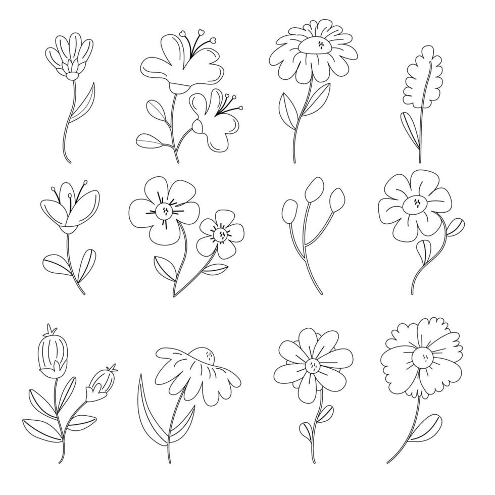 verzameling van schets van lente, zomer bloemen. vector