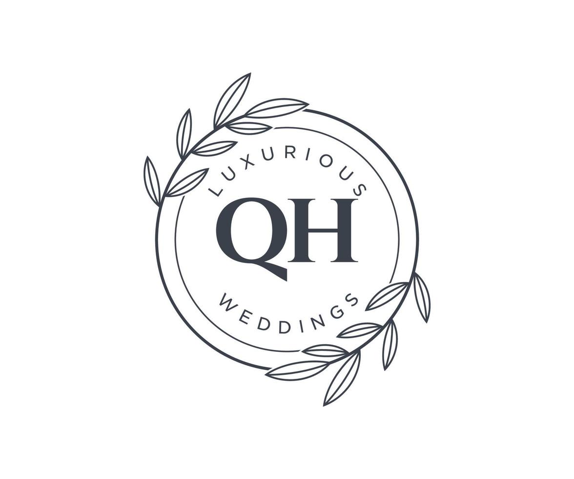 qh initialen brief bruiloft monogram logos sjabloon, hand- getrokken modern minimalistisch en bloemen Sjablonen voor uitnodiging kaarten, opslaan de datum, elegant identiteit. vector