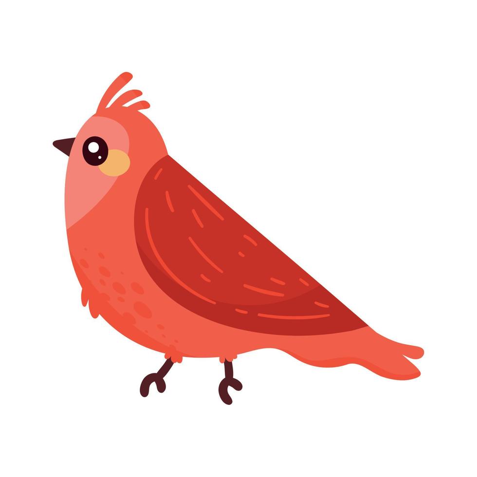 weinig rood vogel vector