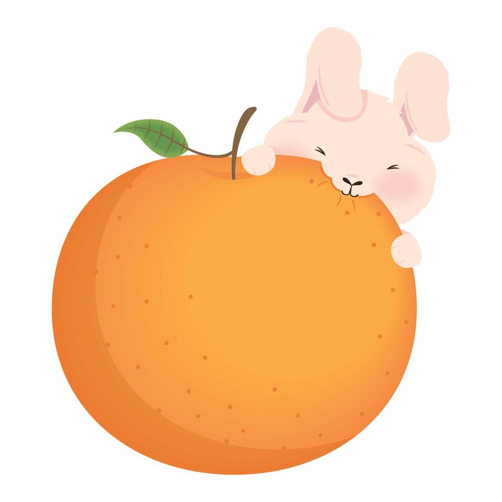 konijn aan het eten oranje fruit vector