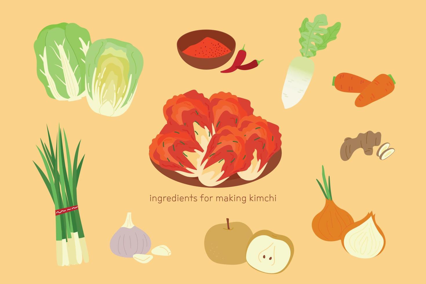 ingrediënten voor maken Koreaans kimchi. kool, rood peper poeder, radijs, wortel, gember, ui, Peer, knoflook, groen ui. vector