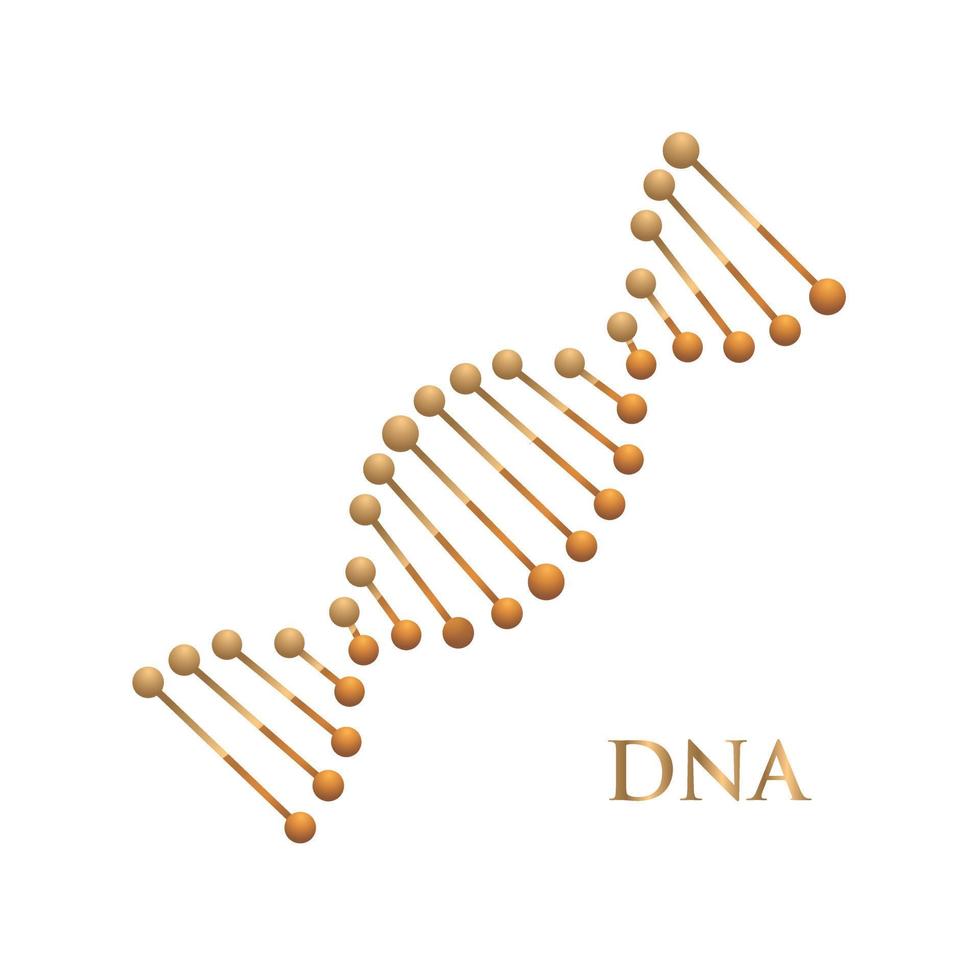 vector gouden dna icoon.