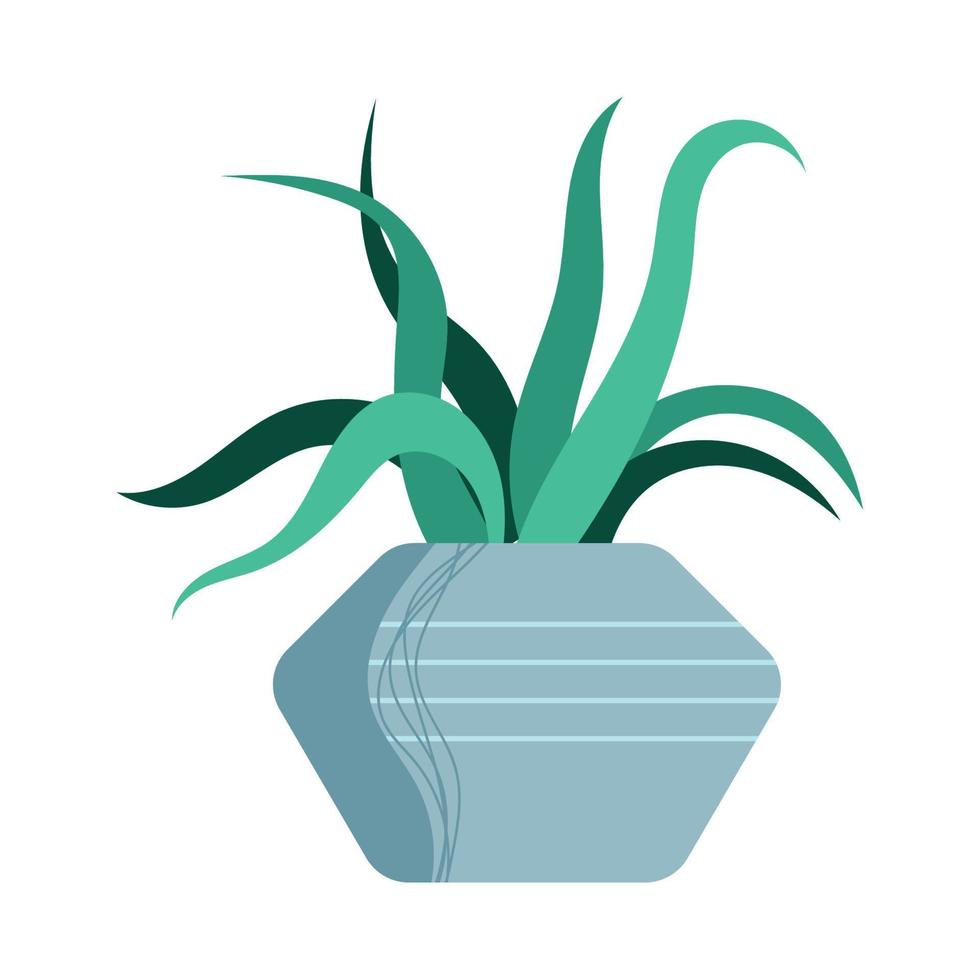 kamerplant in grijze pot vector