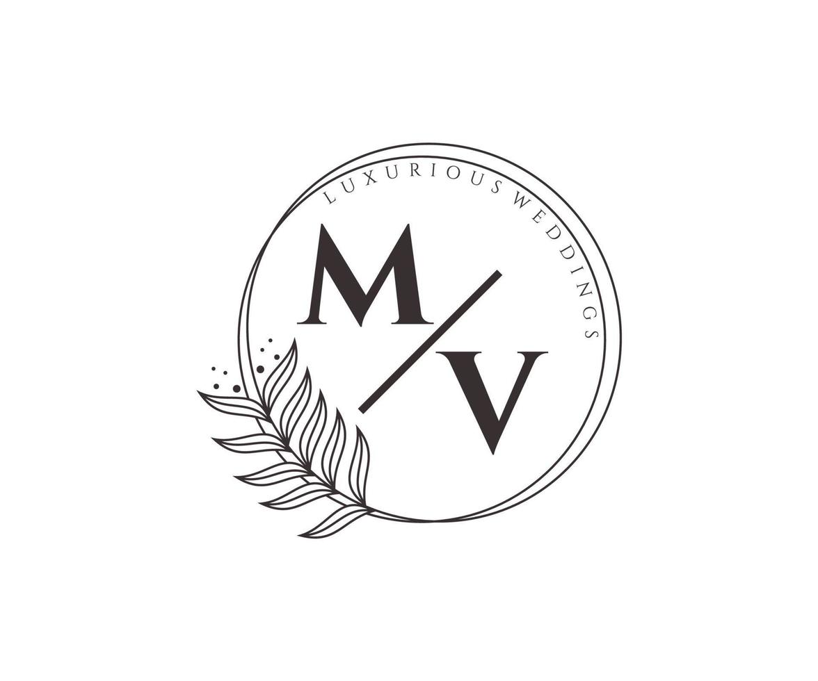 mv initialen brief bruiloft monogram logos sjabloon, hand- getrokken modern minimalistisch en bloemen Sjablonen voor uitnodiging kaarten, opslaan de datum, elegant identiteit. vector