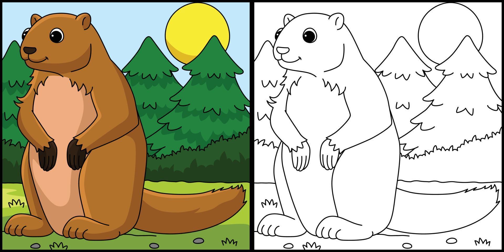 marmot dier kleur bladzijde gekleurde illustratie vector