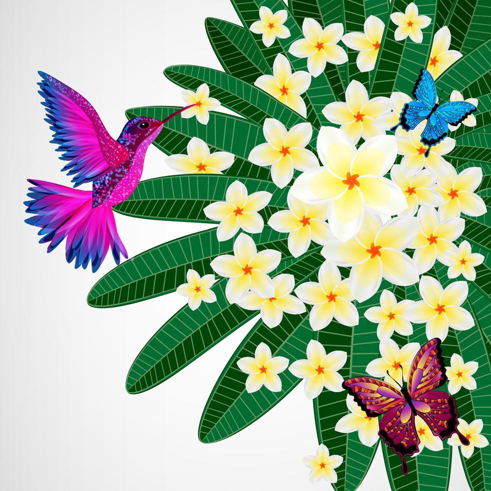 bloemdessin achtergrond. plumeria bloemen met vogels, vlinders. vector