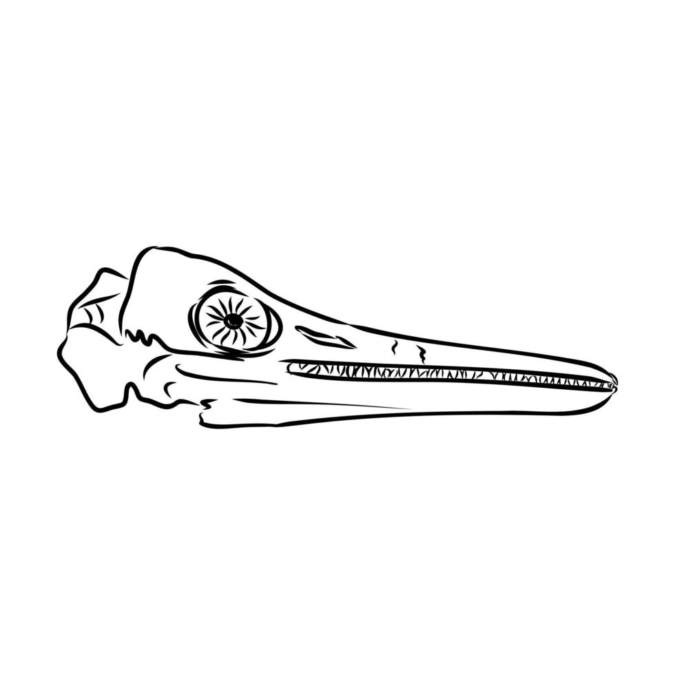 krokodil skelet vector schetsen