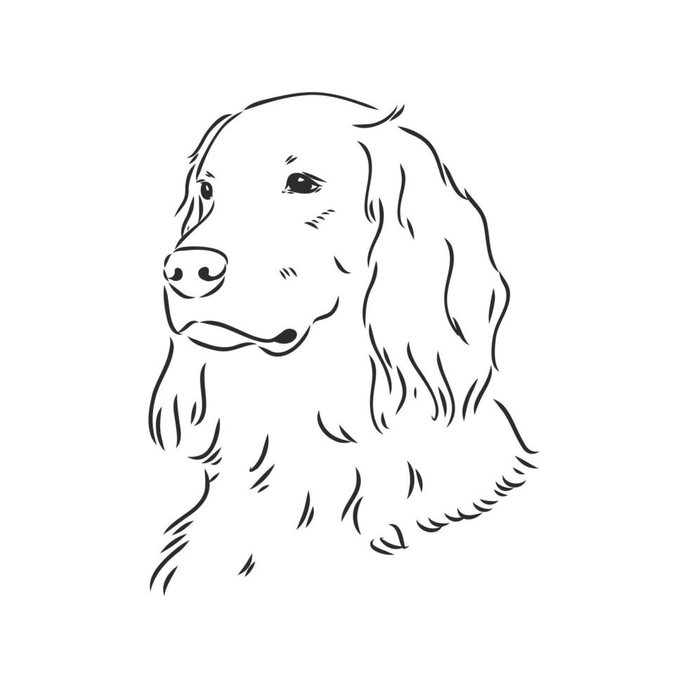 hond vector schets