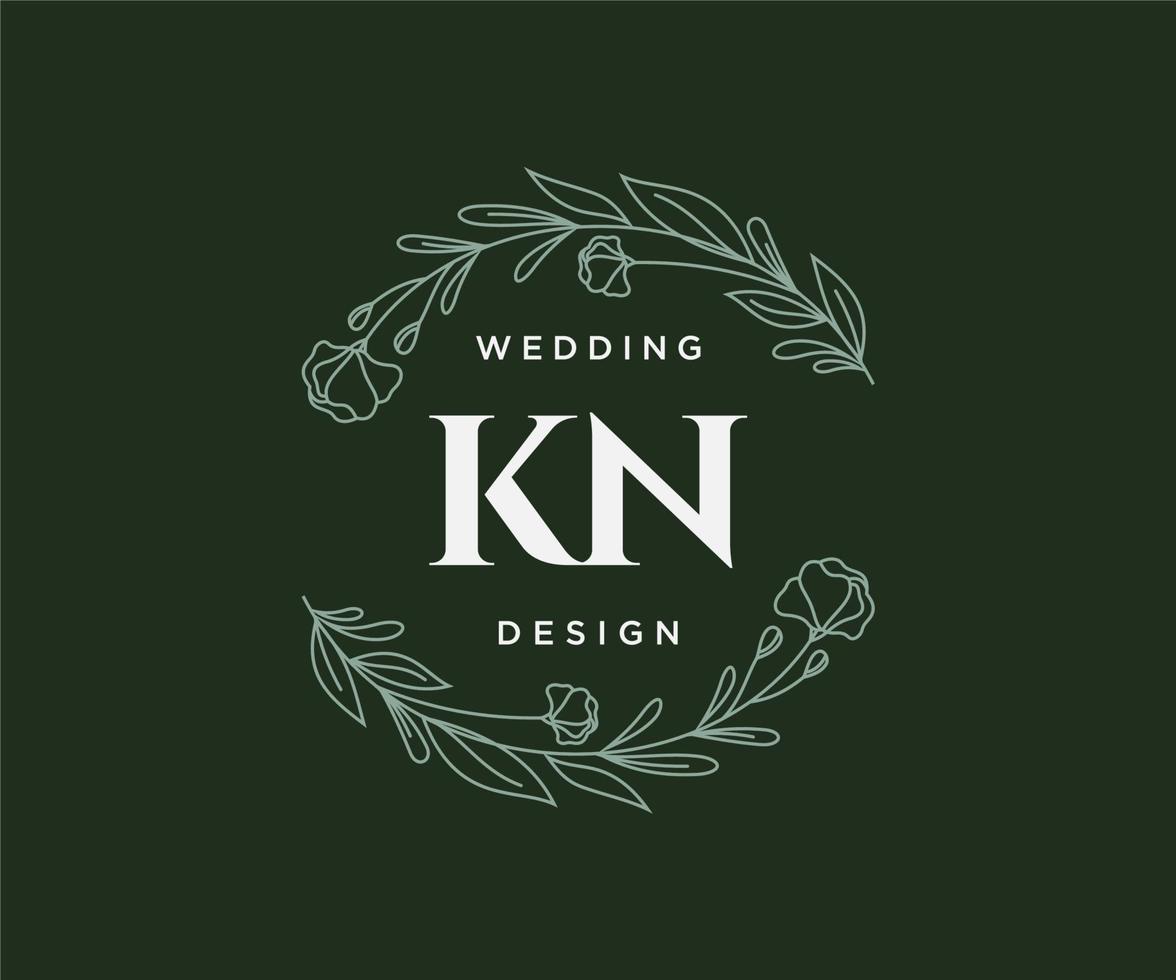 kn initialen brief bruiloft monogram logos verzameling, hand- getrokken modern minimalistisch en bloemen Sjablonen voor uitnodiging kaarten, opslaan de datum, elegant identiteit voor restaurant, boetiek, cafe in vector