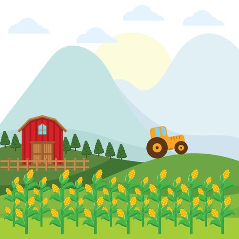 Corn Stalks Farm Achtergrond vector