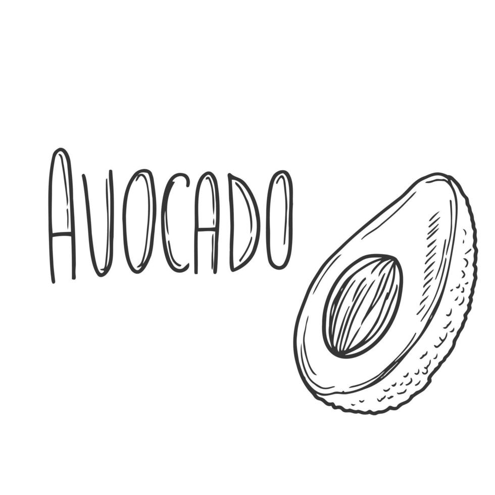 avocado vector hand- getrokken belettering met avocado illustratie