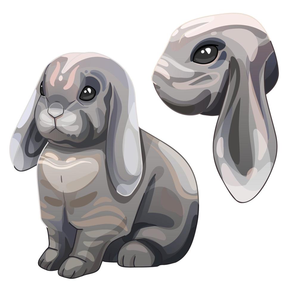 een reeks van tekenfilm getrokken dieren. ras van Frans snoei konijn vector