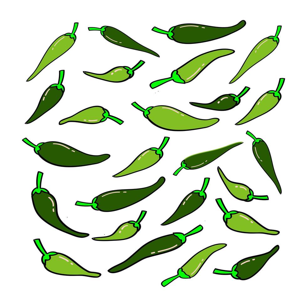 hand- getrokken chili peper illustratie vector