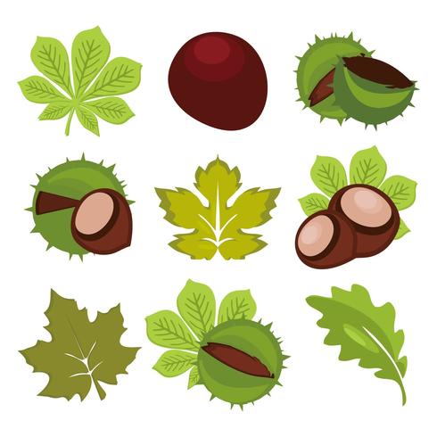 Gratis Aesculus Hippocastanum Buckeye Vector