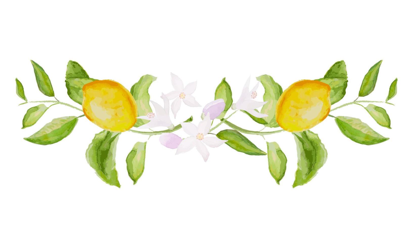 mooi horizontaal vector Afdeling met waterverf geel citroen fruit, bladeren, en bloemen.