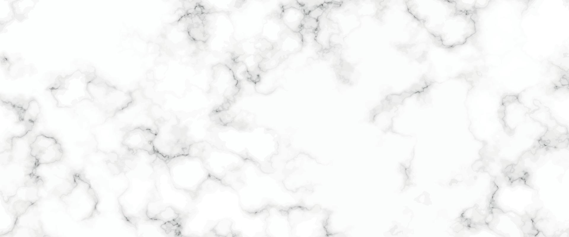 wit marmeren achtergrond structuur natuurlijk steen patroon.abstract licht elegant zwart voor Doen verdieping keramisch teller structuur steen plaat glad tegel grijs zilver.marmer structuur voor huid tegel luxueus ontwerp vector