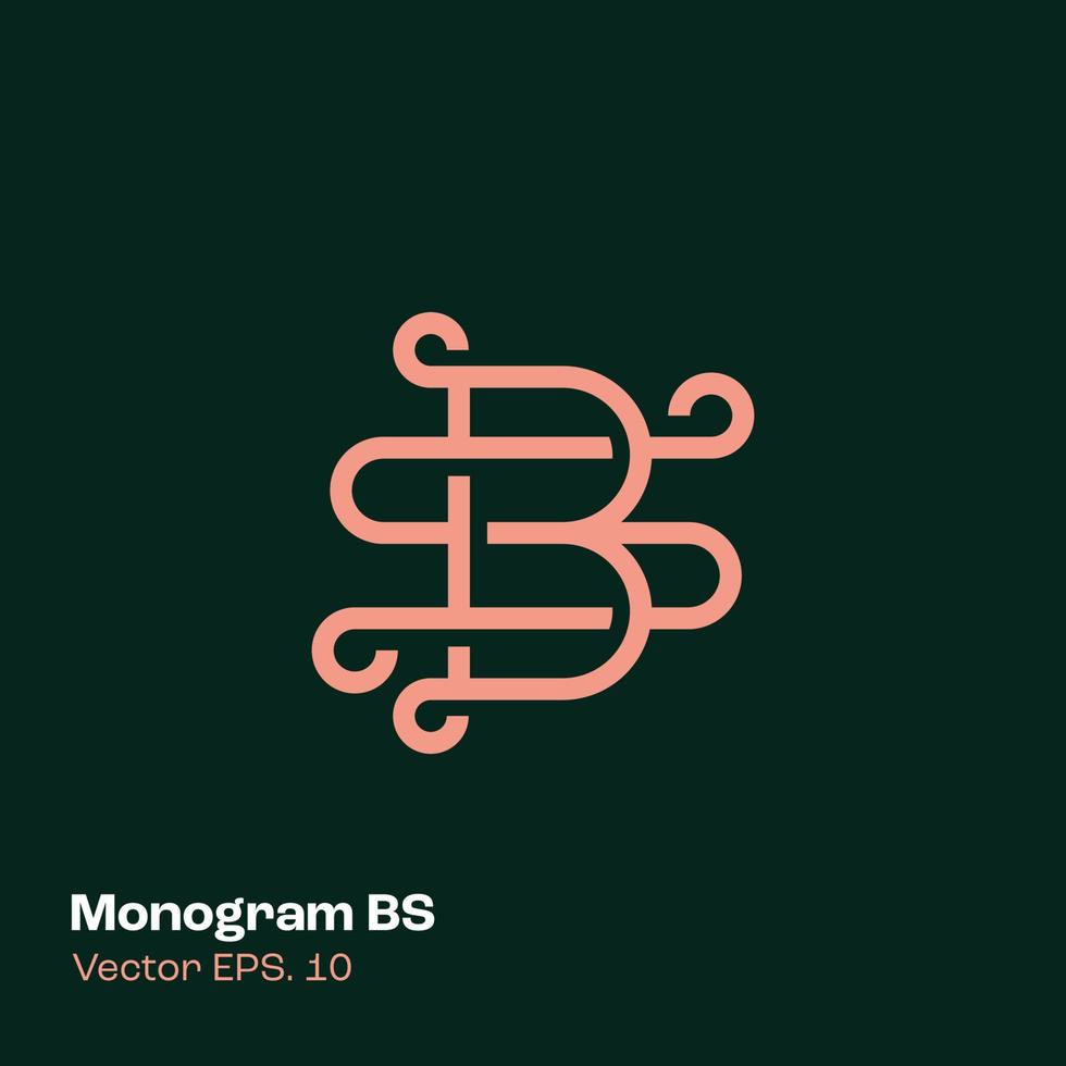 monogram logo bs vector