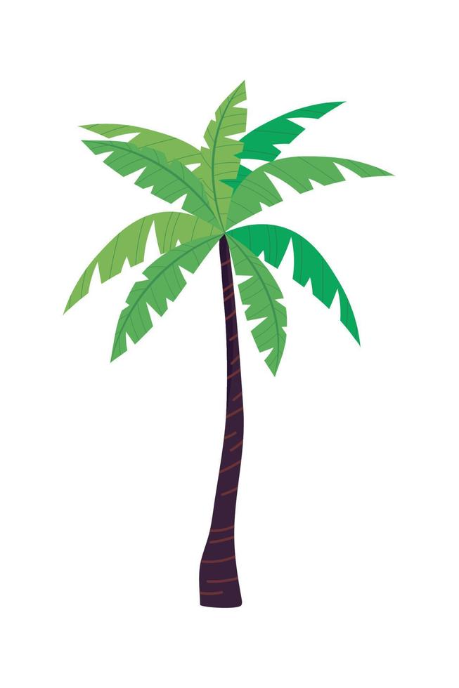 tropische palmboom vector