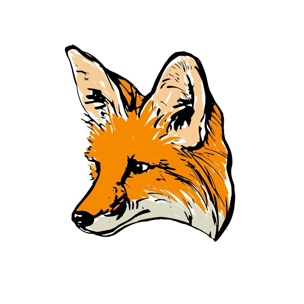 realistisch gekleurde tekening van een vos hoofd. voor kleuren. vector