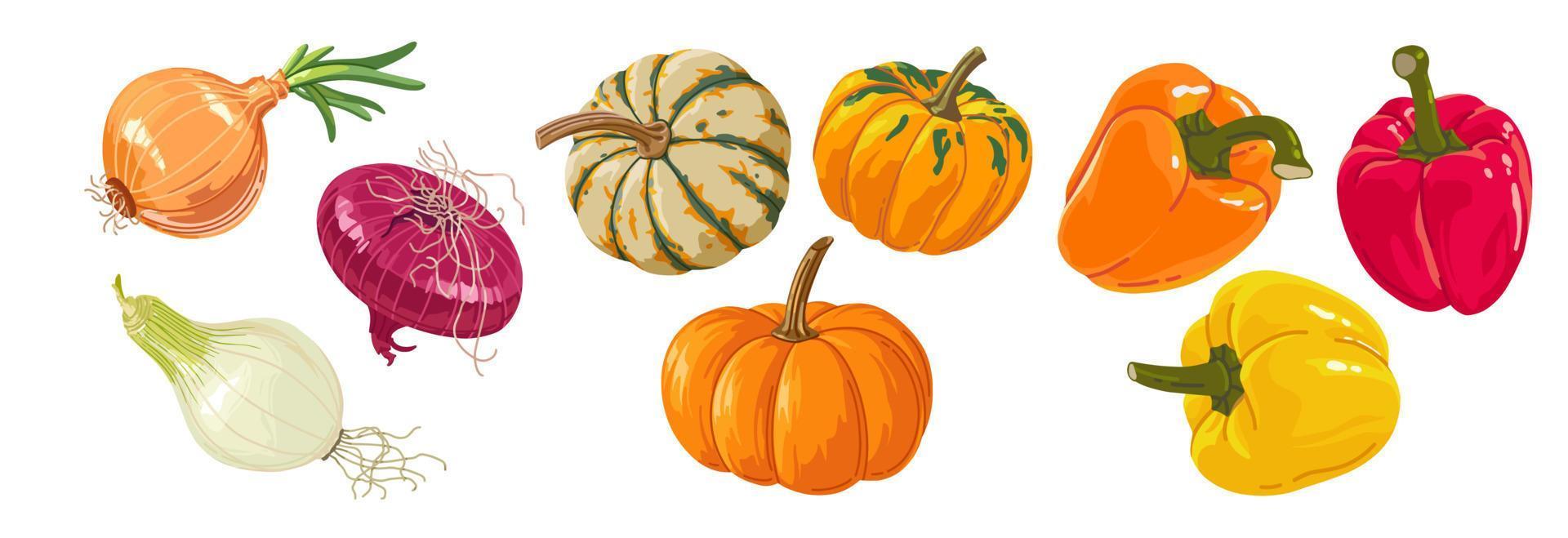 kleurrijk reeks van herfst groenten in tekenfilm stijl voor afdrukken en ontwerp. vector illustratie.