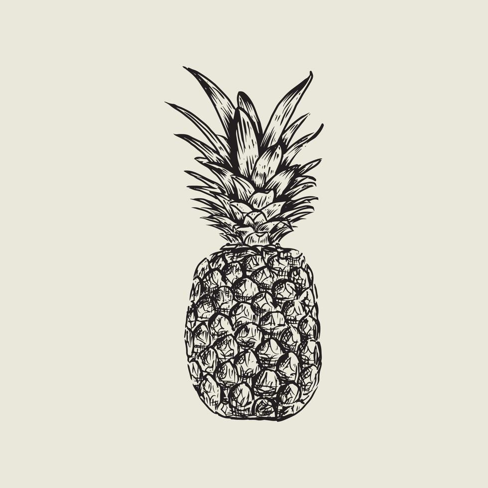 ananas tekening met wijnoogst stijl vector