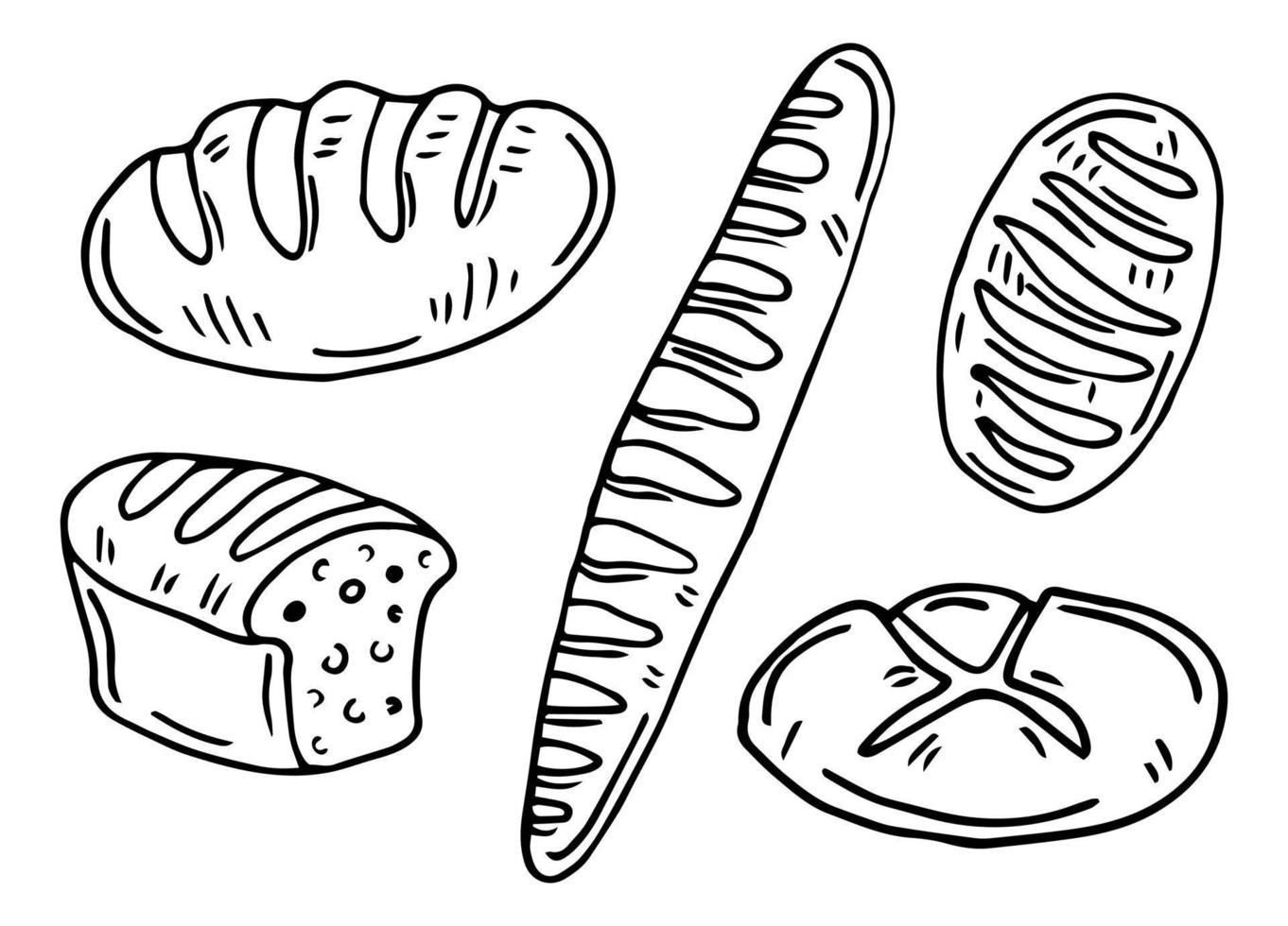 hand- getrokken tarwe en oren geïsoleerd Aan wit achtergrond vector