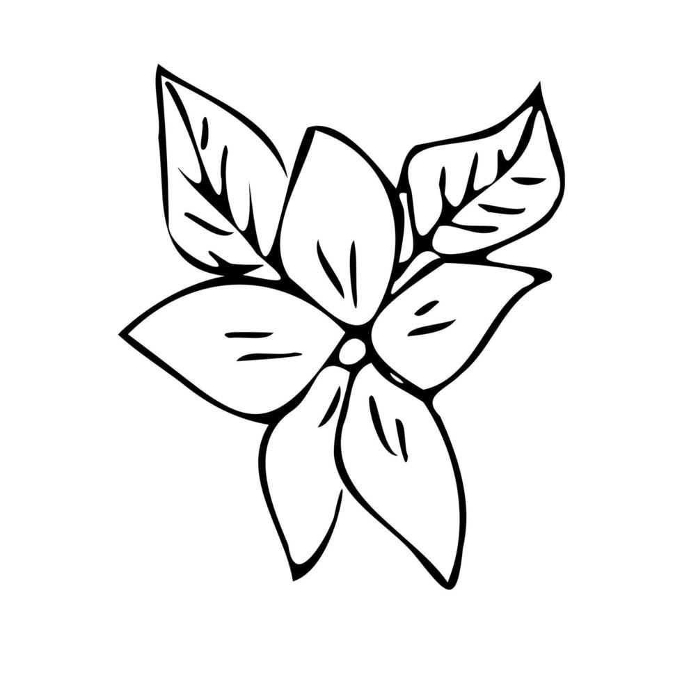 bloem hart envelop. brief met bloemen. tekening stijl. vector