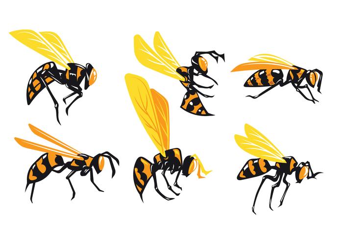 Set van Giant Hornets geïsoleerd op een witte achtergrond vector