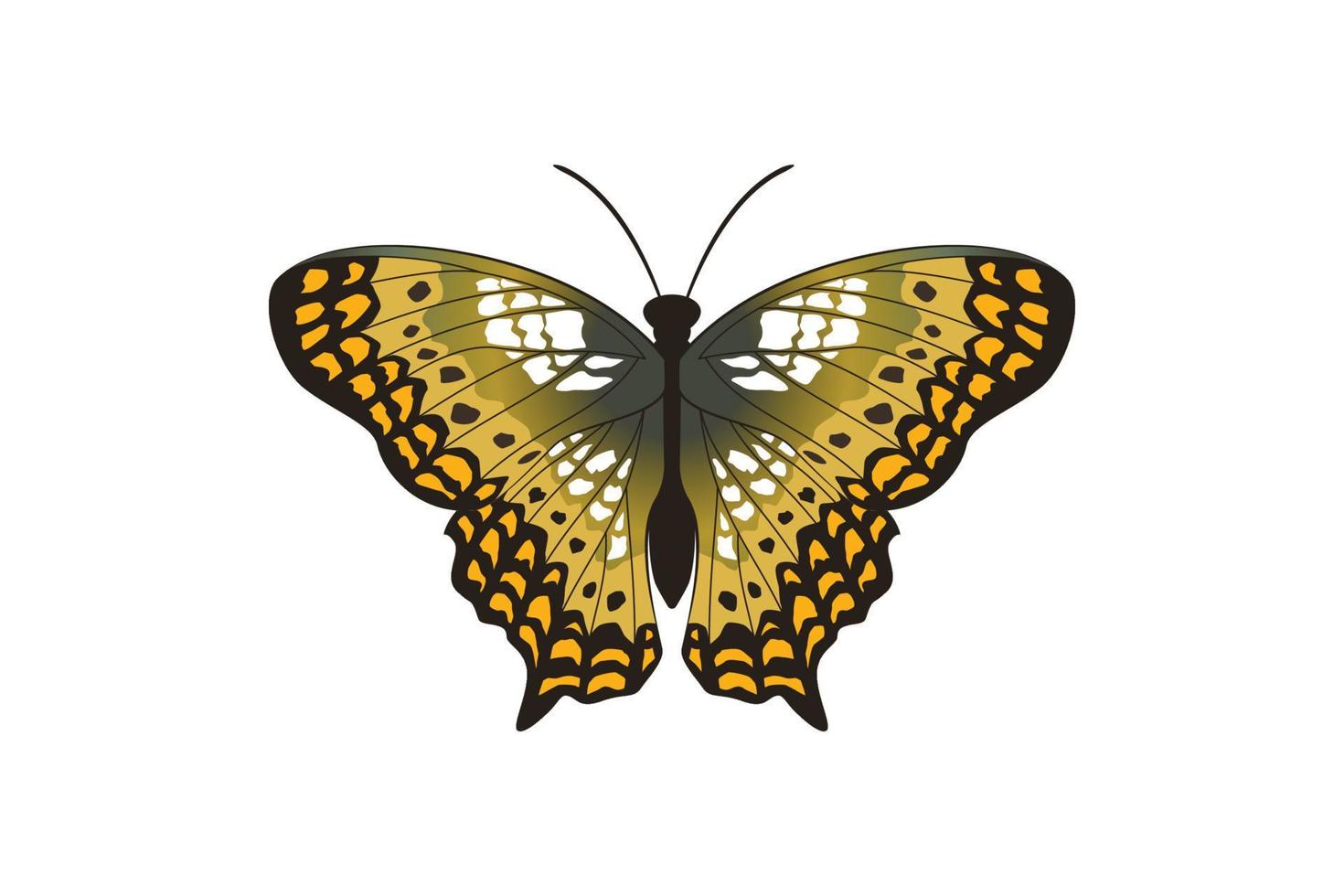 vector grafisch van vliegend vlinder in een top visie geïsoleerd Aan wit achtergrond.