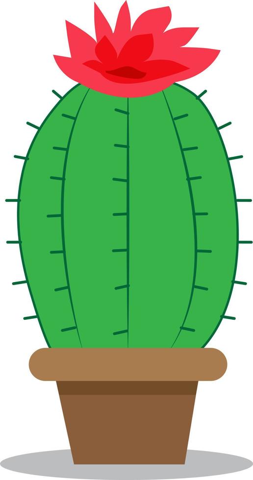 vector illustratie cactus fabriek