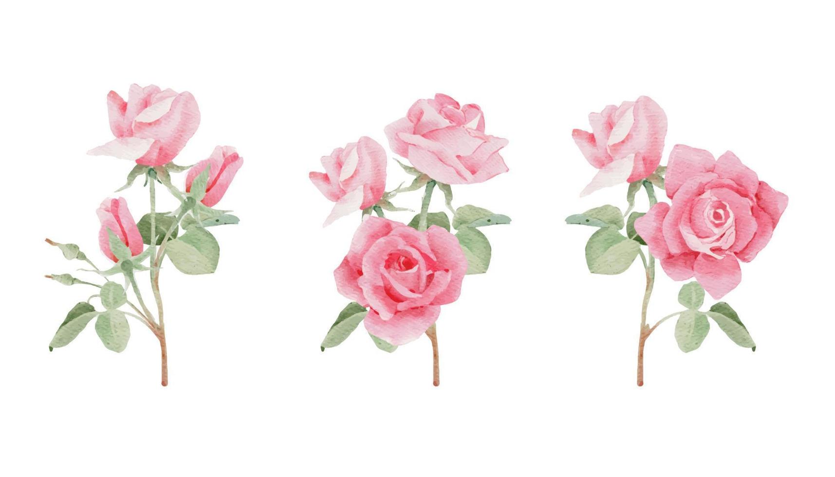 waterverf roze roos bloem boeket voor valentijnsdag dag vector