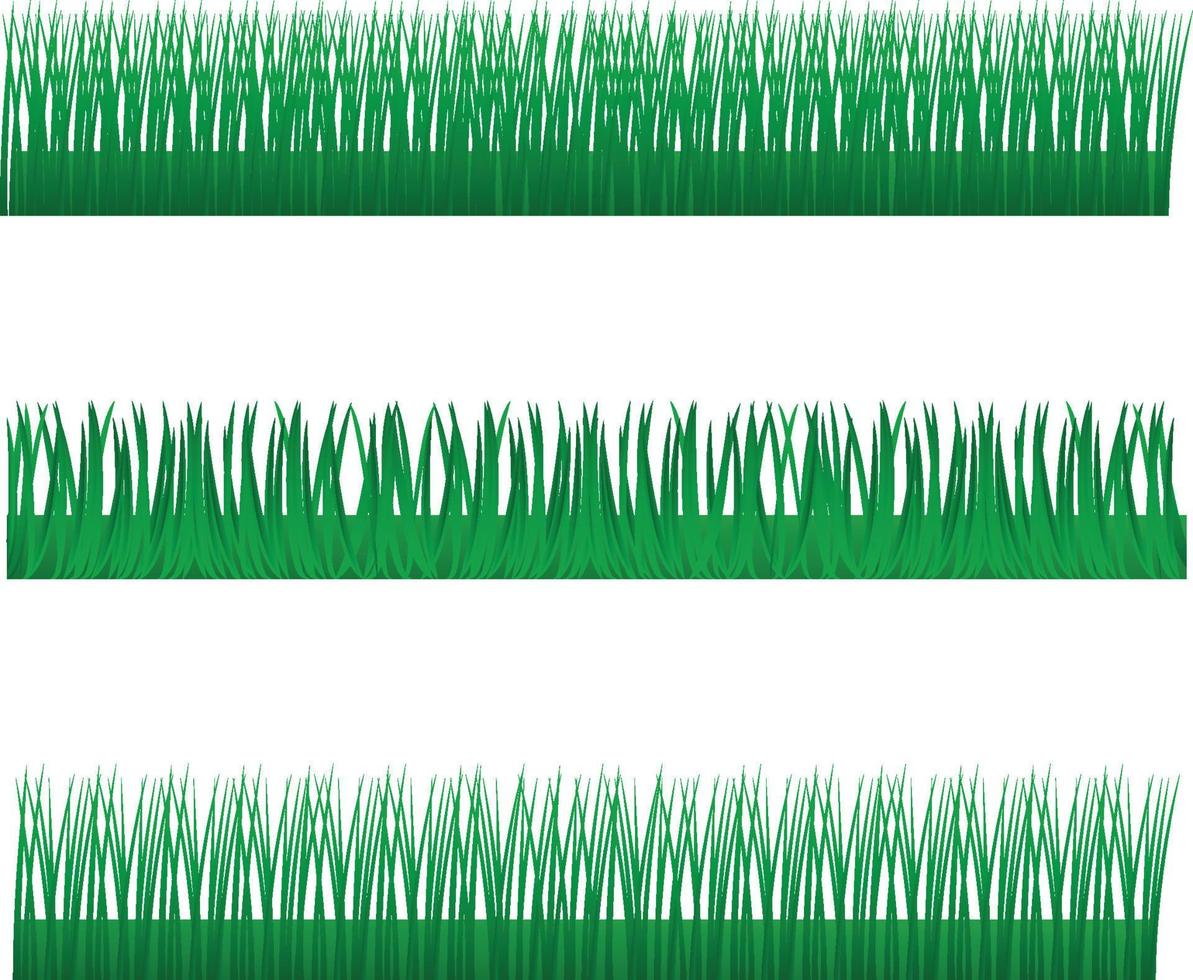 groot gras borders set, vector illustratie