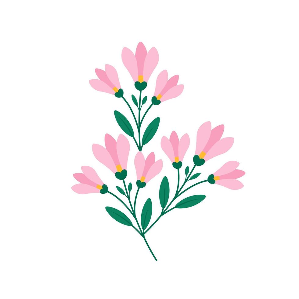 takje met magnolia bloesem Aan wit achtergrond, vector illustratie van voorjaar bloemen isoleren