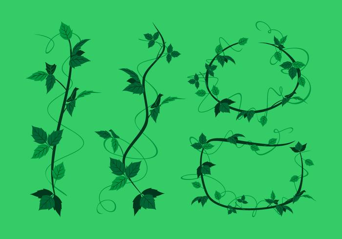 Poison Ivy Trendils Gratis Vector