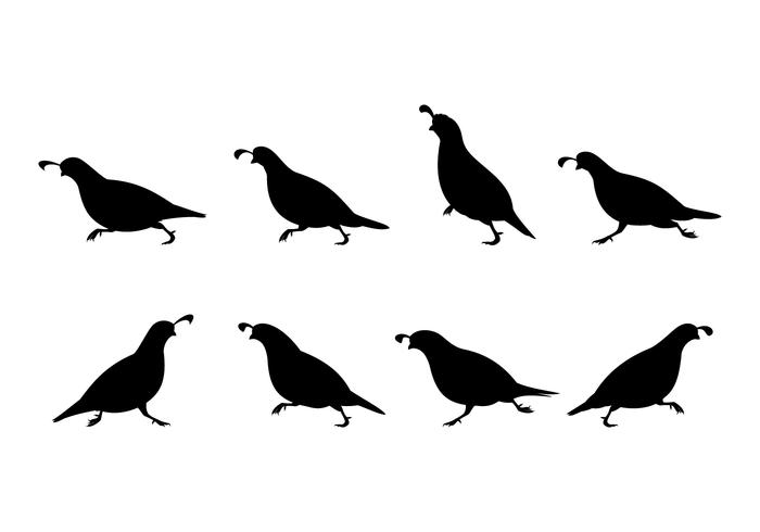 Running Quail Silhouette Gratis Vector