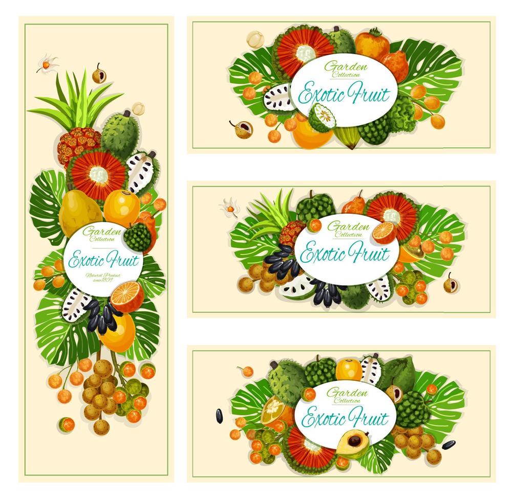 exotisch tropisch fruit oogst banners vector