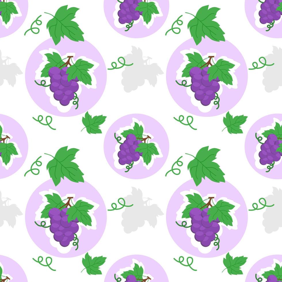 naadloos patroon van druiven Aan wit achtergrond vector