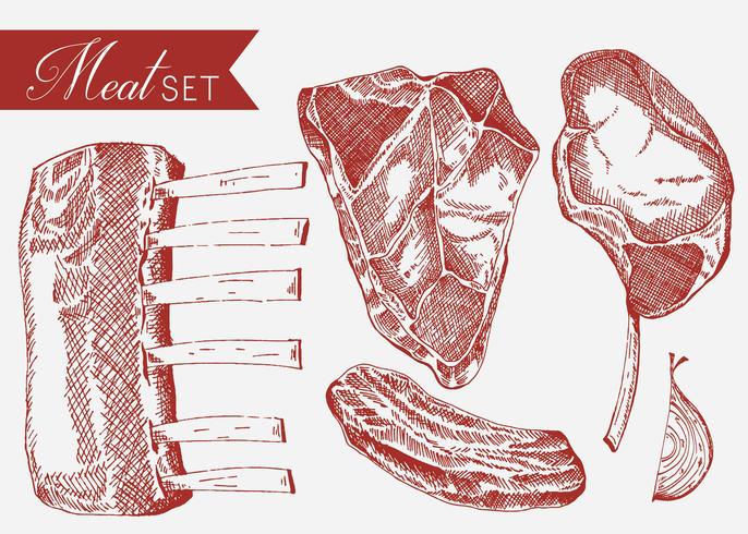 Kalfsvlees Set Hand getrokken Vector