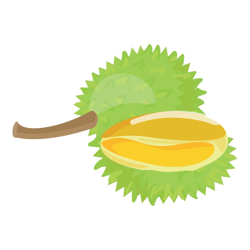 durian voedsel icoon tekenfilm vector. zoet fruit vector