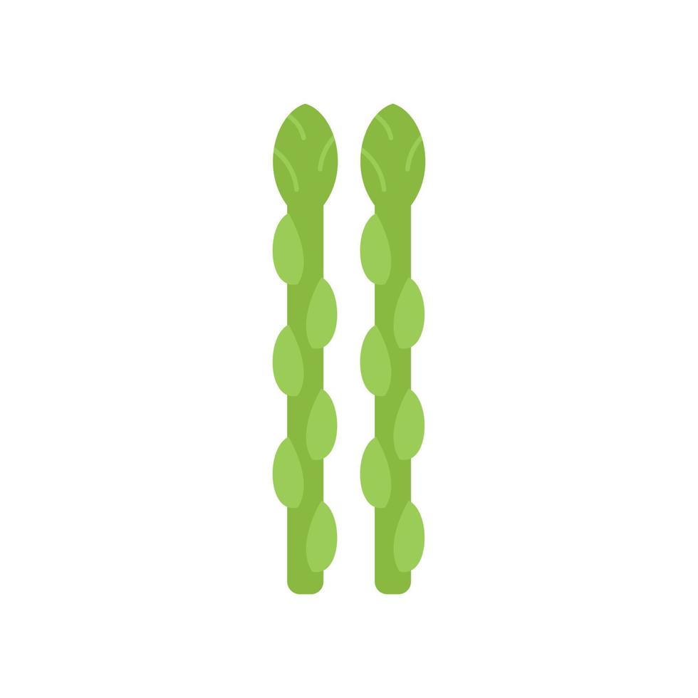 tuin asperges icoon vlak vector. voedsel Koken vector