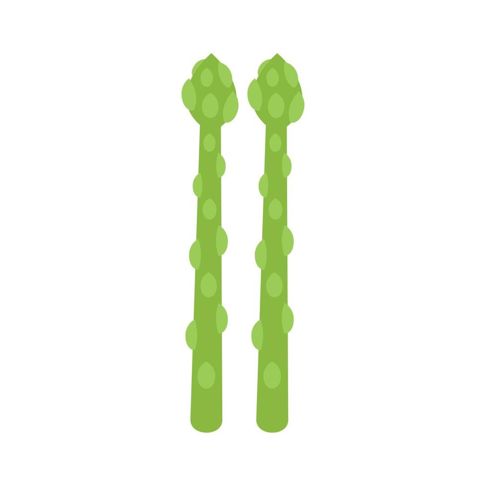 groente asperges icoon vlak vector. voorjaar voedsel vector