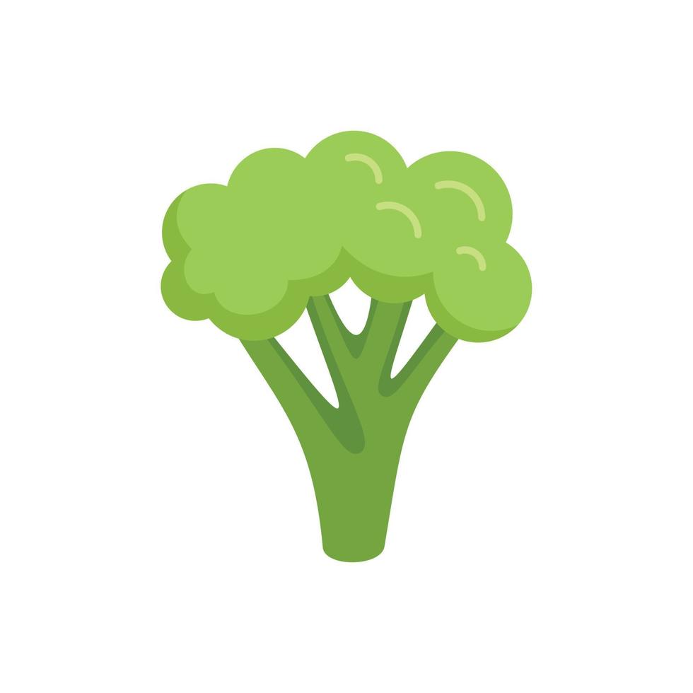 een brocoli icoon vlak vector. groente kool vector