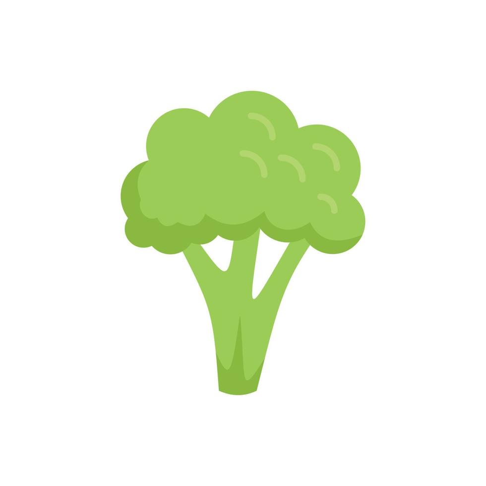 brocoli bloemkool icoon vlak vector. groente voedsel vector