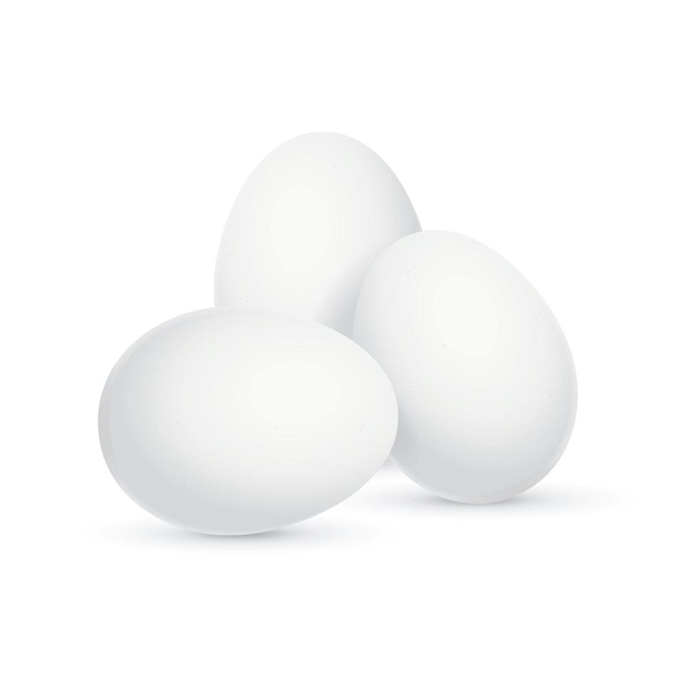 realistisch gedetailleerd 3d wit eieren set. vector