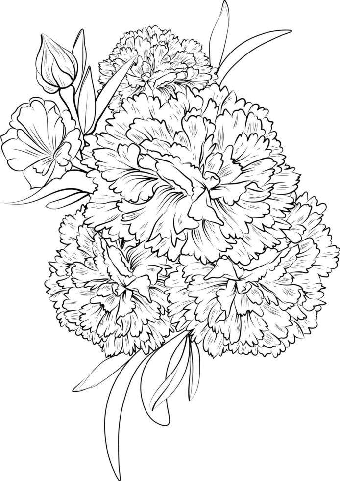 hand getekend dianthus-caryophyllus, anjer bloem boeket, vector schetsen illustratie gegraveerde inkt kunst botanisch blad Afdeling verzameling geïsoleerd Aan wit achtergrond kleur bladzijde en boeken.