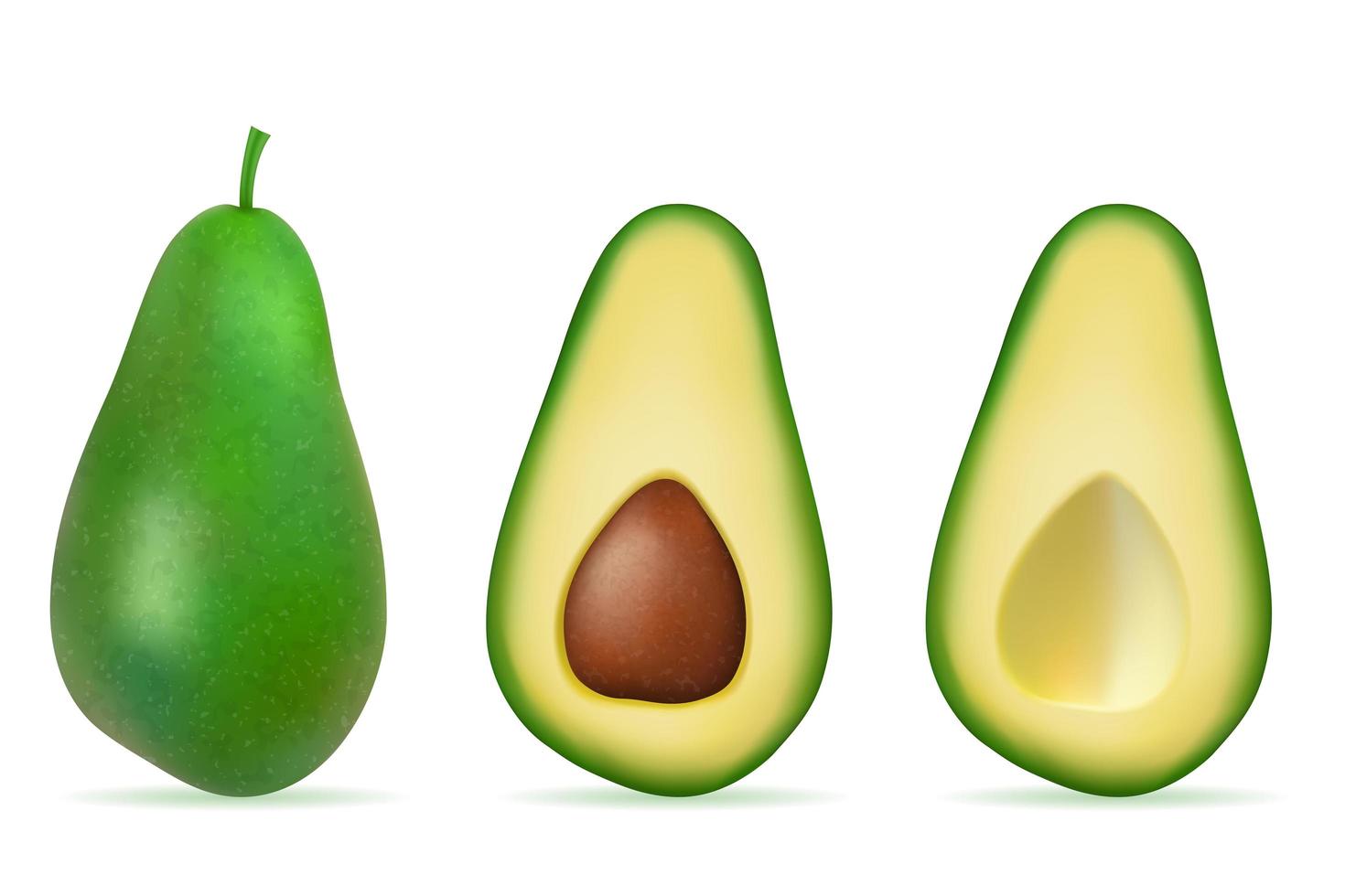groene avocado vers rijp fruit set vector