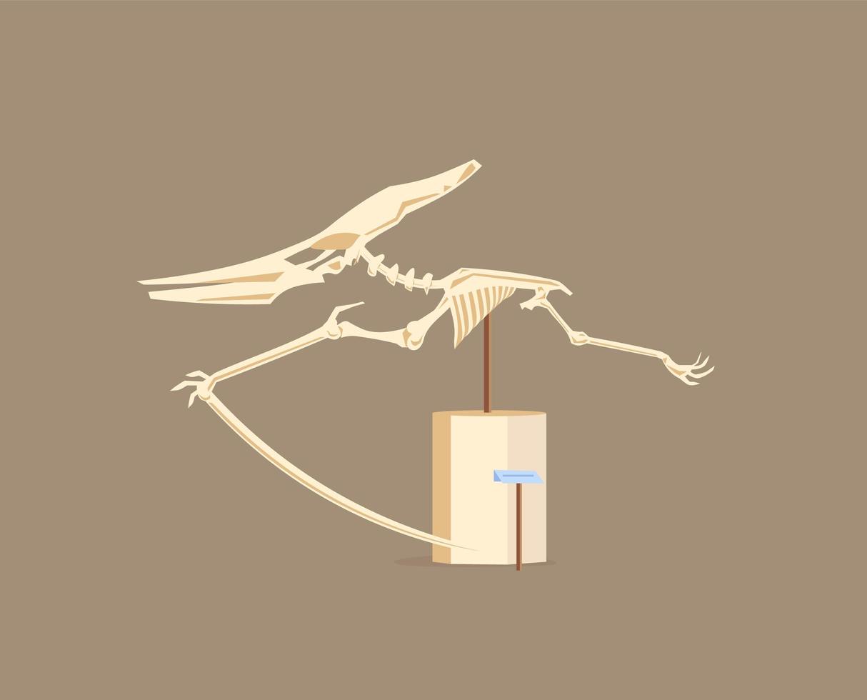 pterodactyl showcase tentoonstelling vector